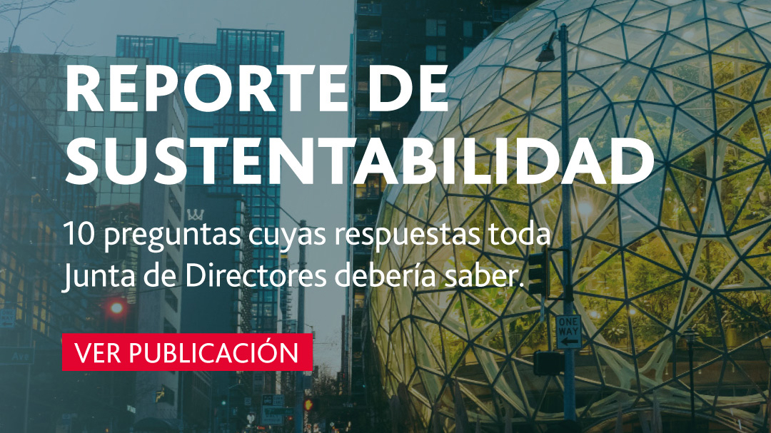 Reporte De Sustentabilidad - BDO